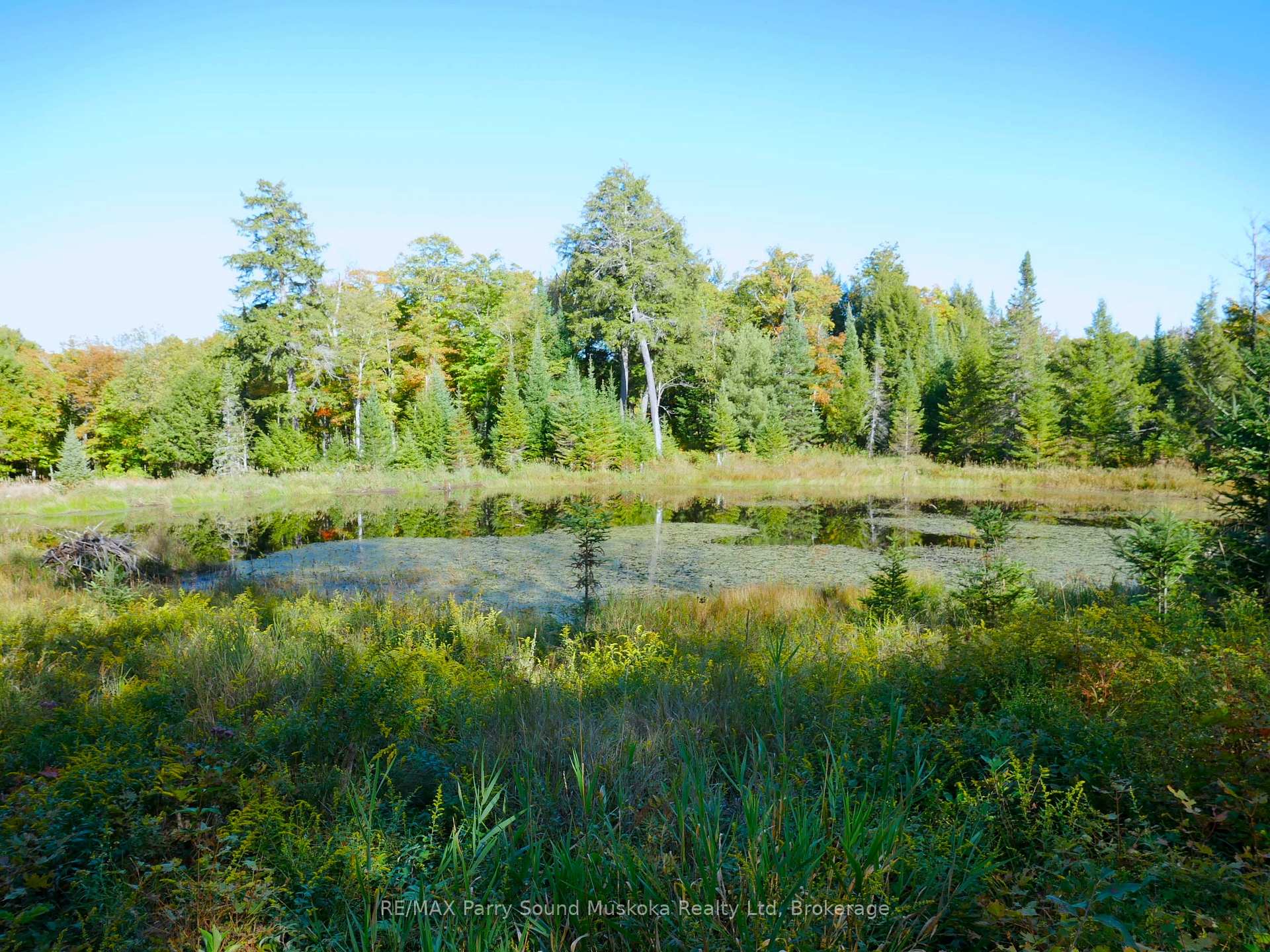 Photo 29 of Nelson Clelland Road, Magnetawan — HOMEH
