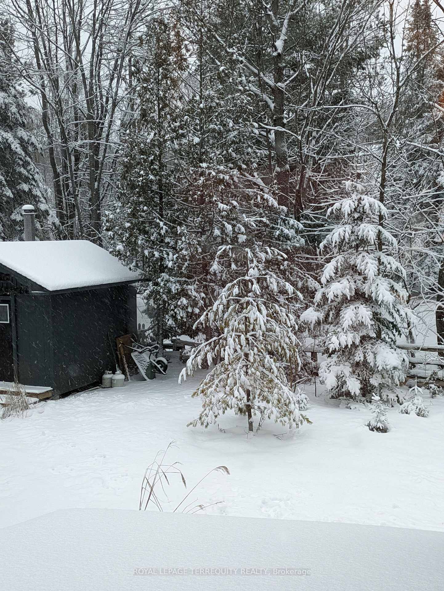 Photo 44 of 7862 Birch Drive, Ramara, Rural Ramara — HOMEH