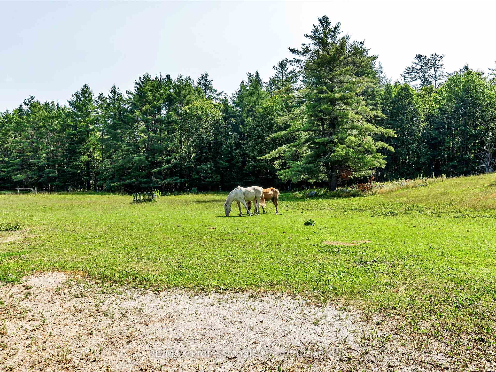 Photo 4 of 1069 Kirk Line E, Bracebridge, Macaulay — HOMEH