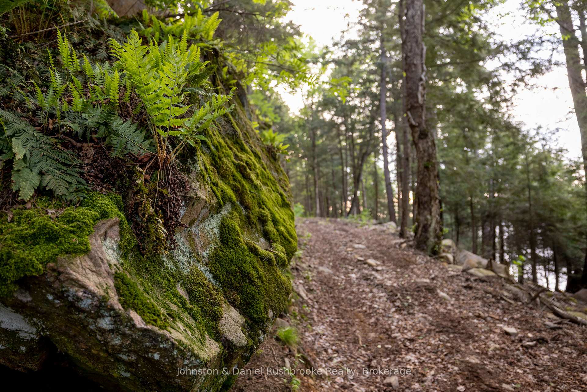 Photo 9 of 98A & 98B Maile Run, Seguin — HOMEH