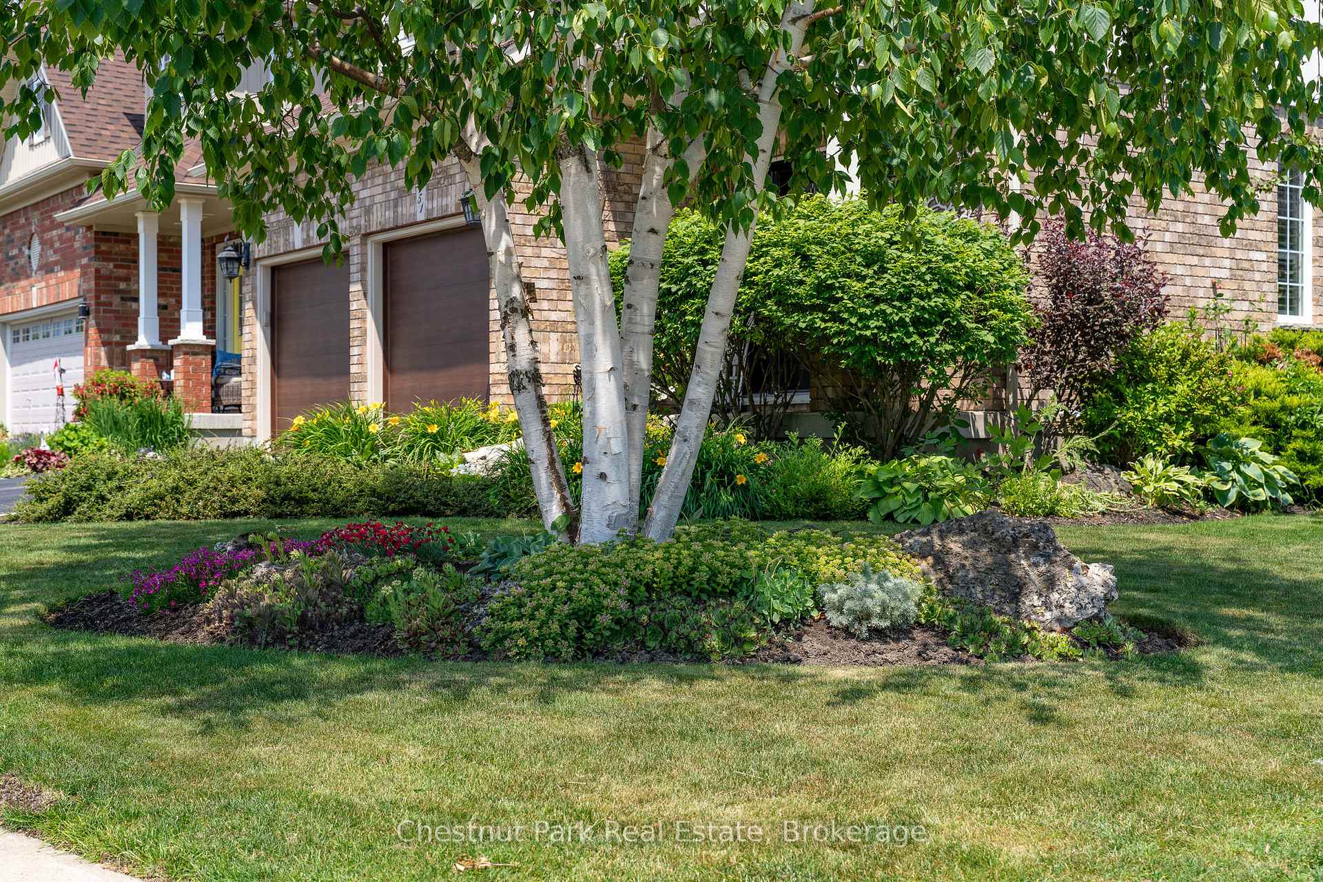 Photo 5 of 51 Patton Street, Collingwood — HOMEH