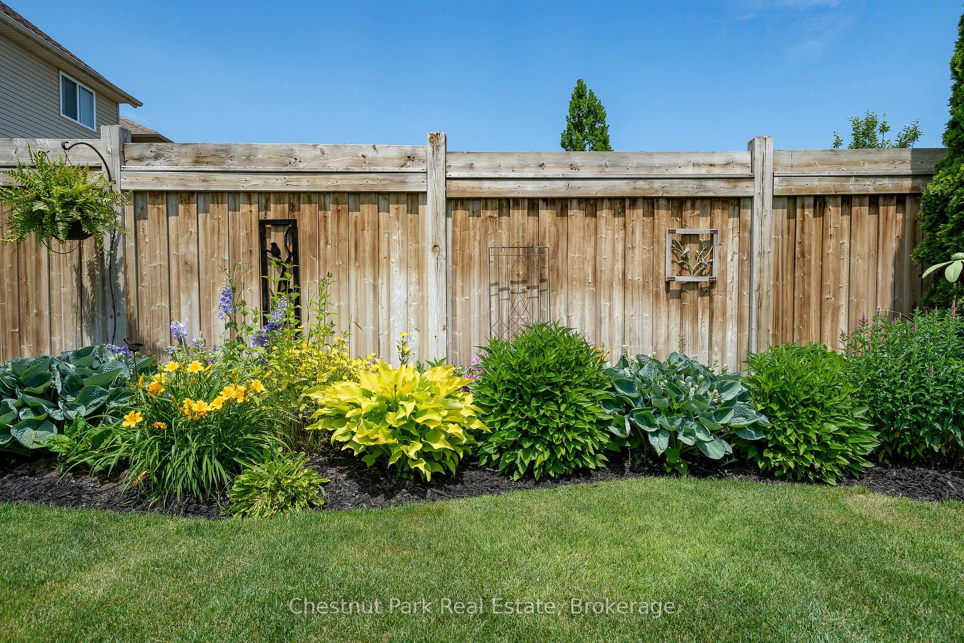 Photo 34 of 51 Patton Street, Collingwood — HOMEH
