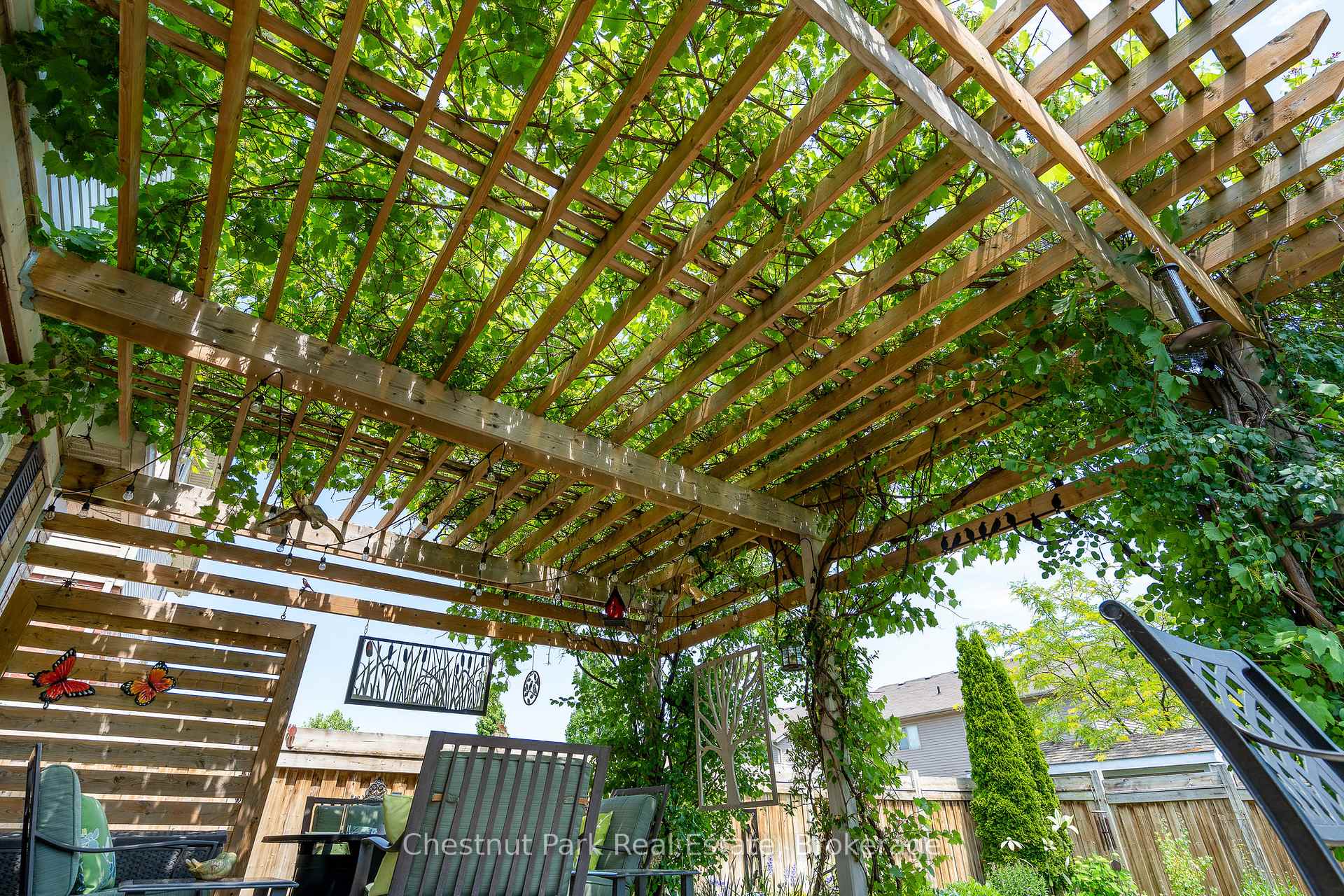 Photo 12 of 51 Patton Street, Collingwood — HOMEH