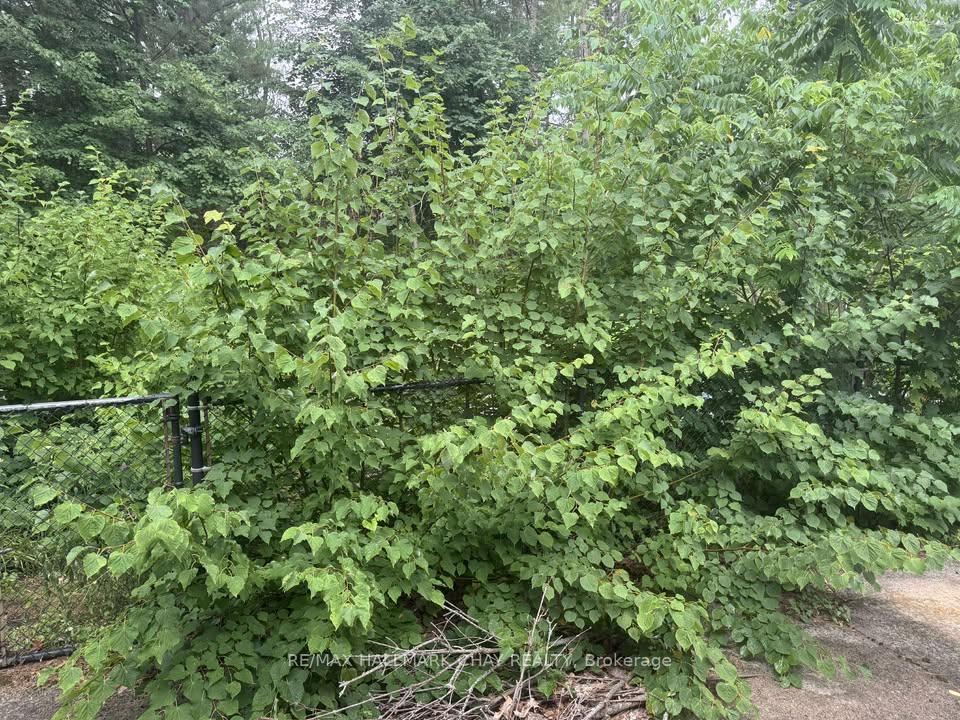 Photo 33 of 23 Cedar Creek Road, Springwater, Midhurst — HOMEH