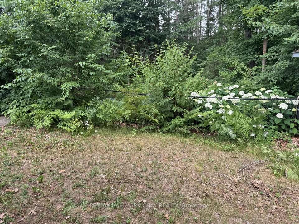 Photo 34 of 23 Cedar Creek Road, Springwater, Midhurst — HOMEH