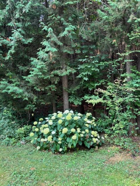 Photo 34 of 156 Tracey Road S, Tyendinaga, Tyendinaga Township — HOMEH