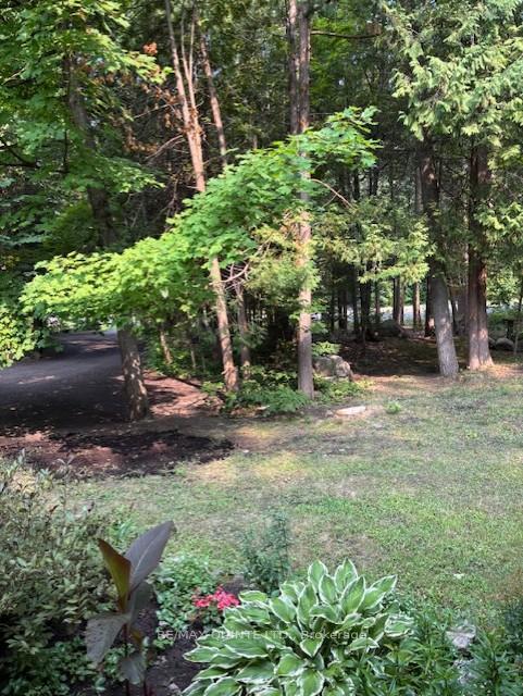 Photo 8 of 156 Tracey Road S, Tyendinaga, Tyendinaga Township — HOMEH
