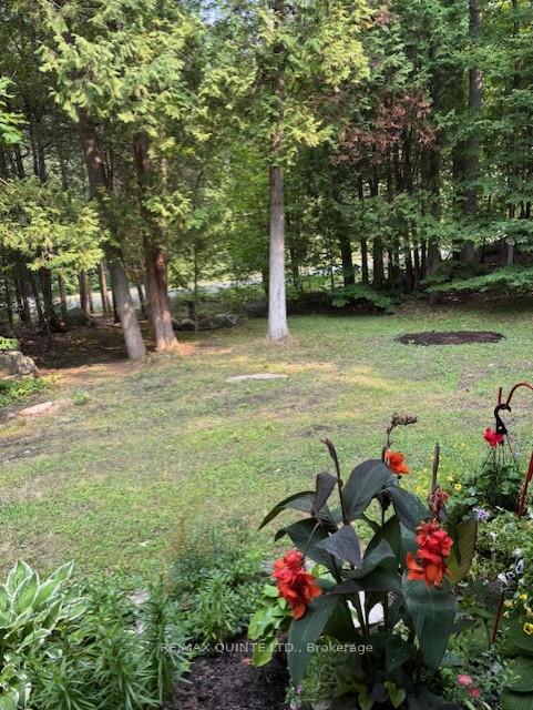 Photo 5 of 156 Tracey Road S, Tyendinaga, Tyendinaga Township — HOMEH