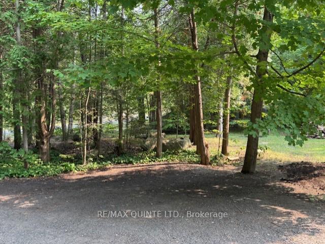 Photo 18 of 156 Tracey Road S, Tyendinaga, Tyendinaga Township — HOMEH