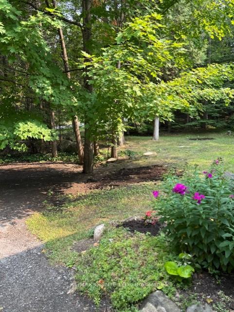 Photo 13 of 156 Tracey Road S, Tyendinaga, Tyendinaga Township — HOMEH