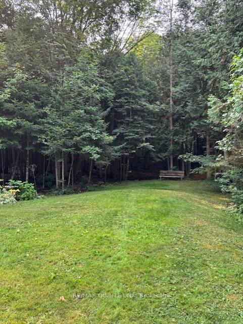 Photo 12 of 156 Tracey Road S, Tyendinaga, Tyendinaga Township — HOMEH