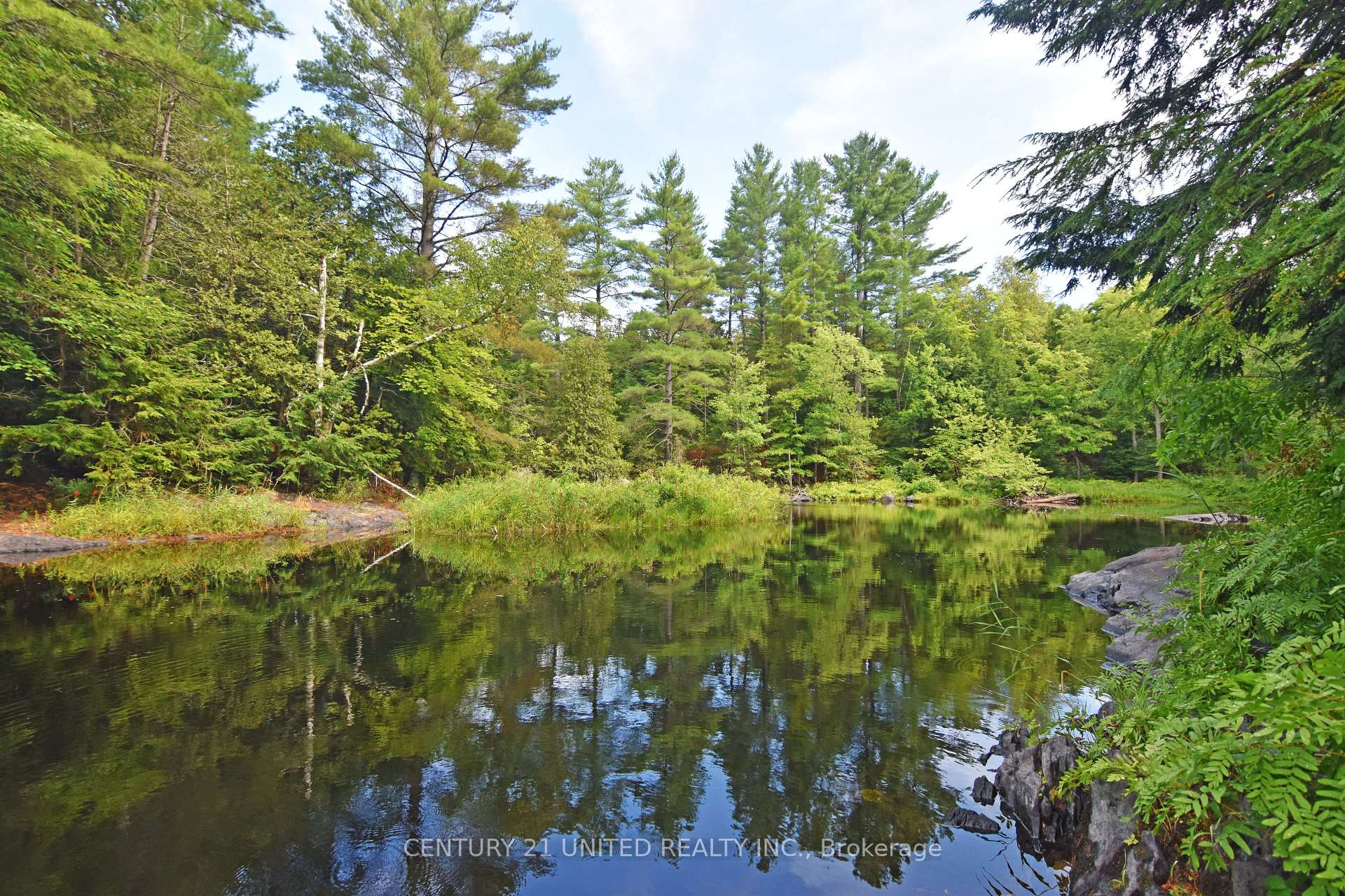 Photo 5 of Clark Line Road, Tweed, Elzevir (Twp) — HOMEH