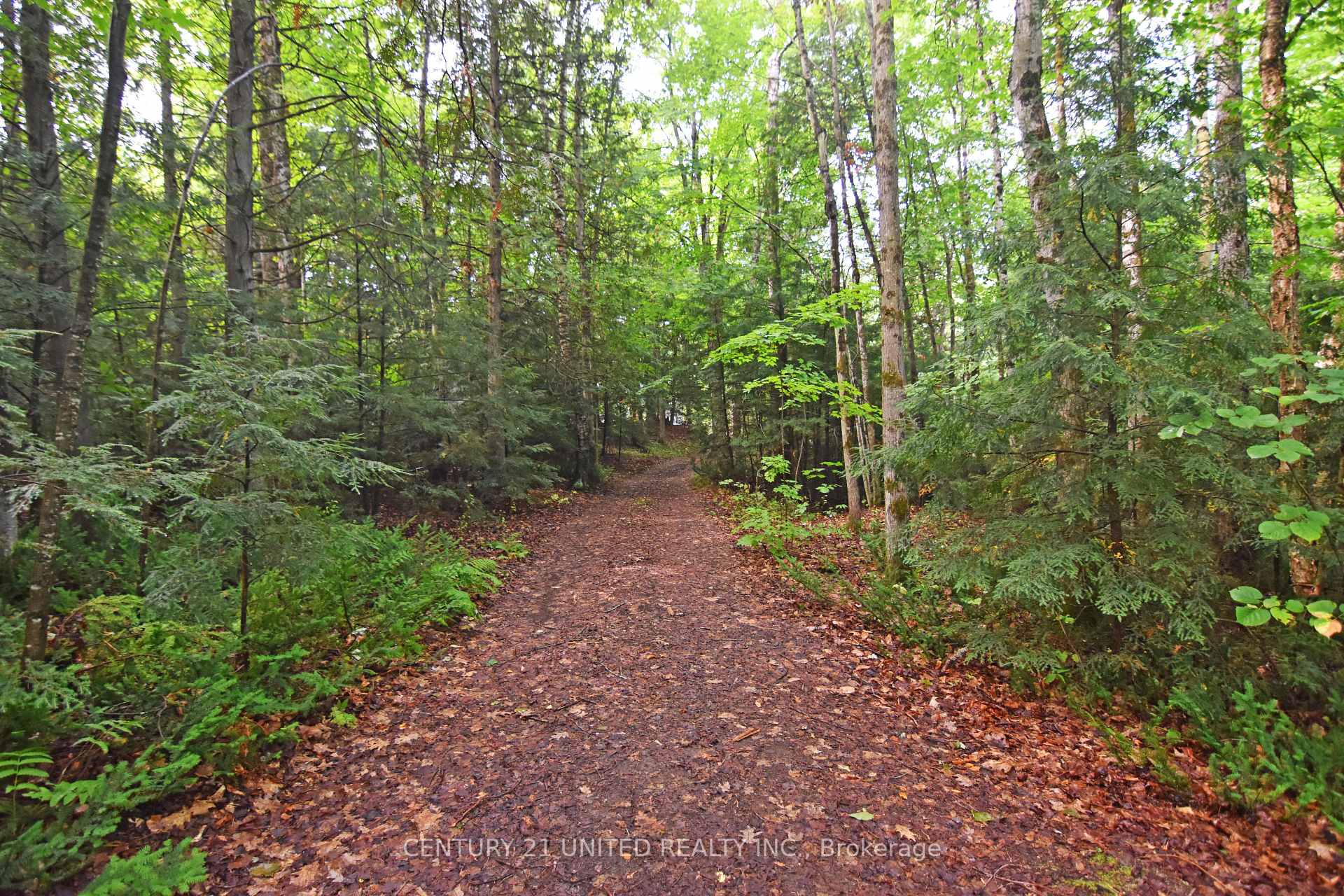 Photo 7 of Clark Line Road, Tweed, Elzevir (Twp) — HOMEH