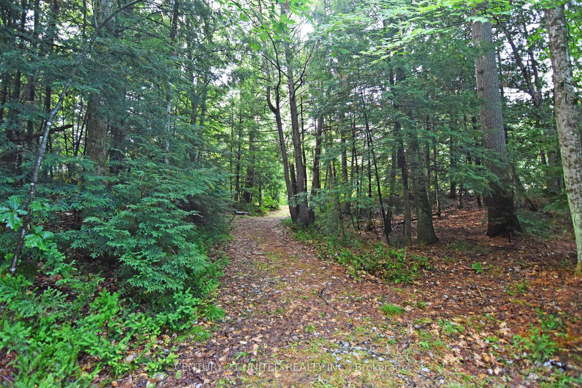 Photo 6 of Clark Line Road, Tweed, Elzevir (Twp) — HOMEH