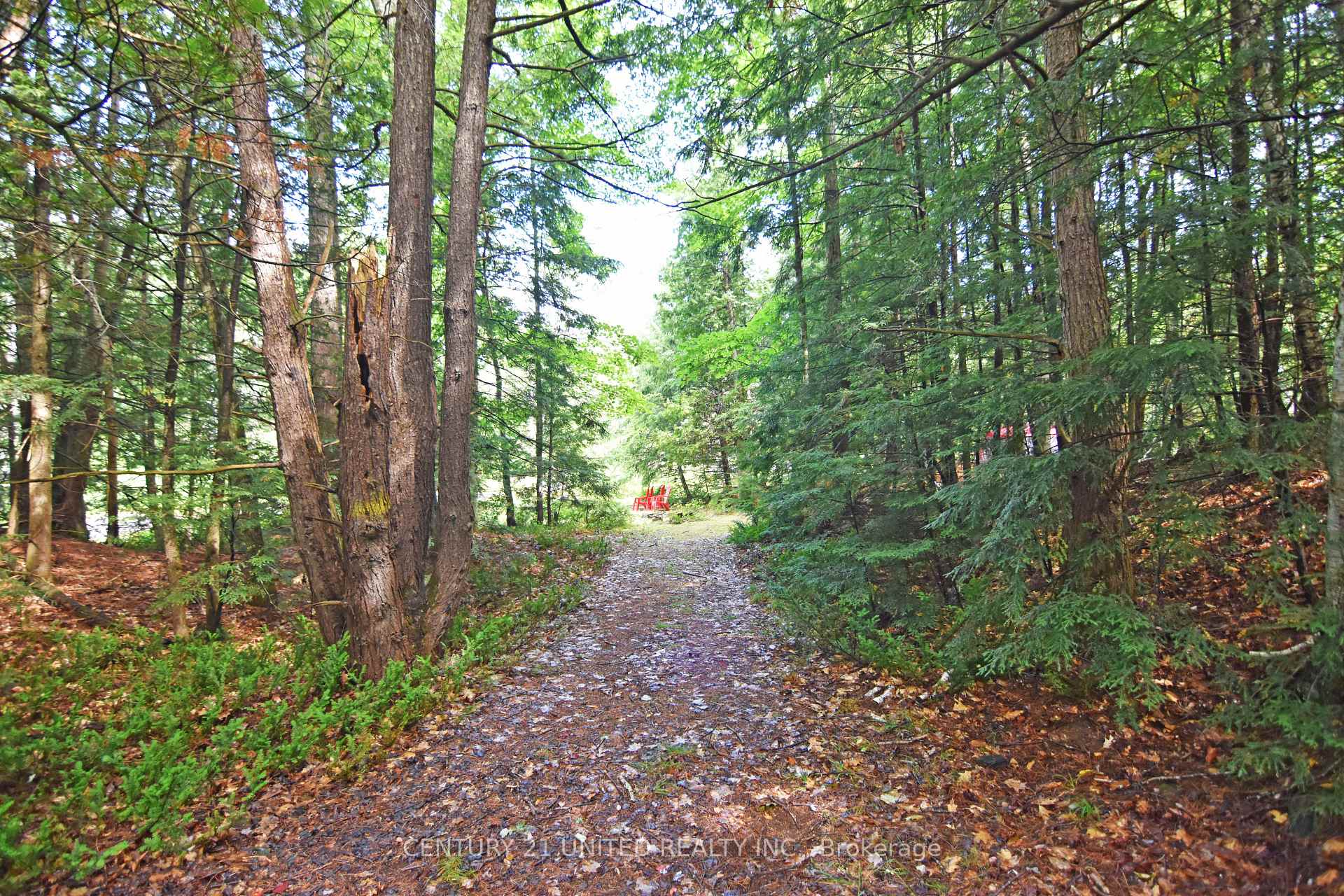 Photo 9 of Clark Line Road, Tweed, Elzevir (Twp) — HOMEH