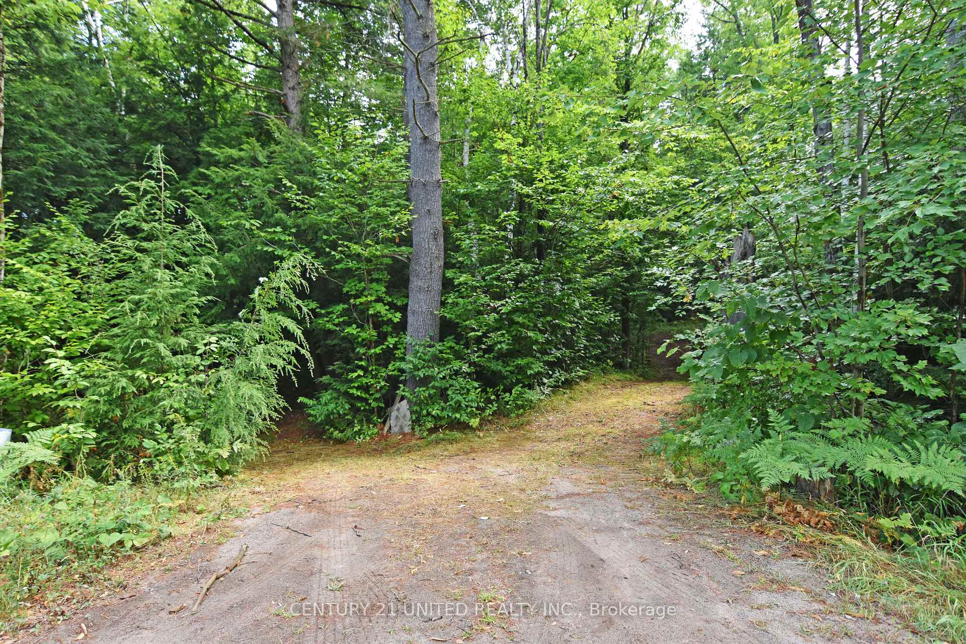 Photo 8 of Clark Line Road, Tweed, Elzevir (Twp) — HOMEH