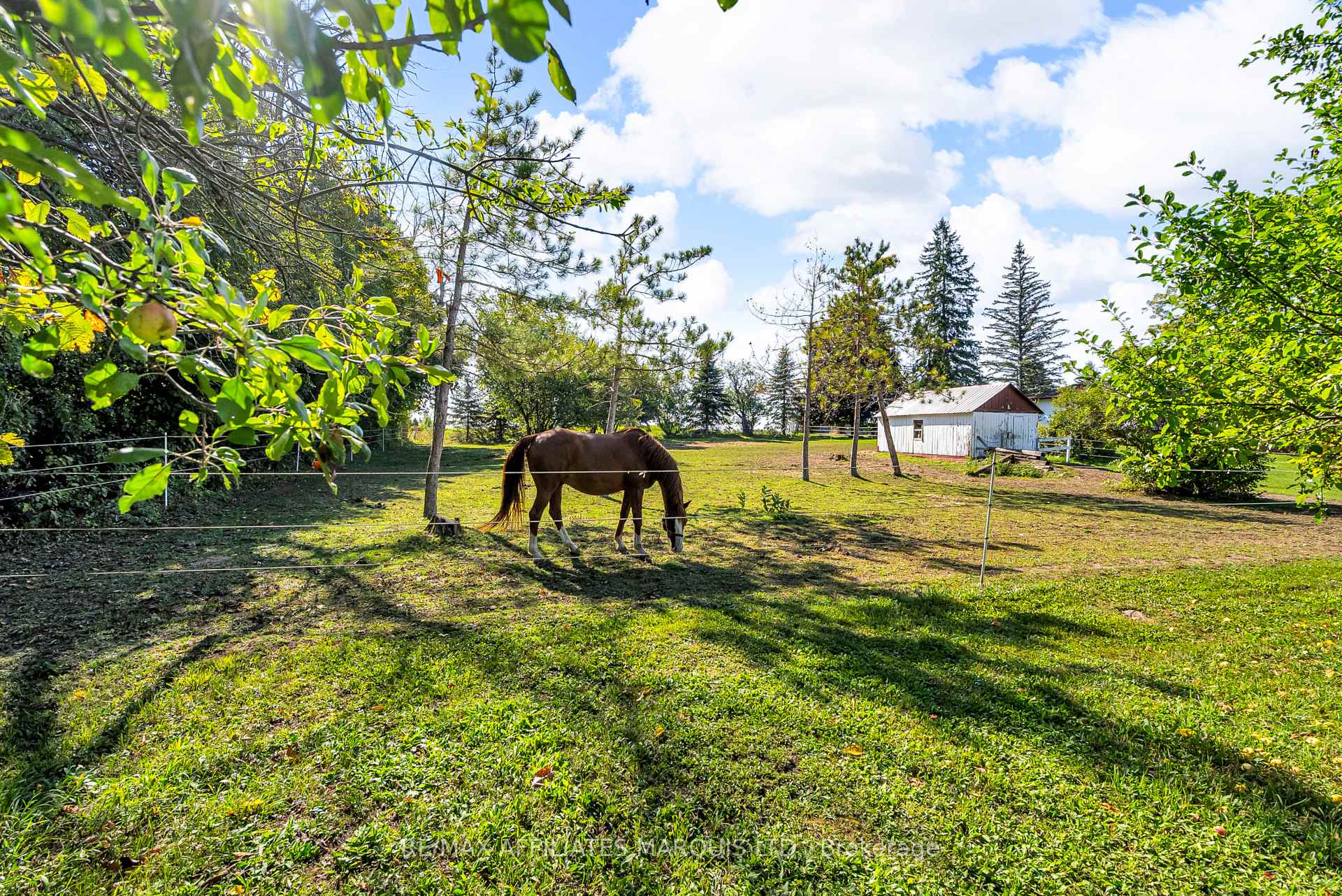 Photo 7 of 18659 County Rd 19, South Glengarry, South Glengarry (Charlottenburgh) Twp — HOMEH
