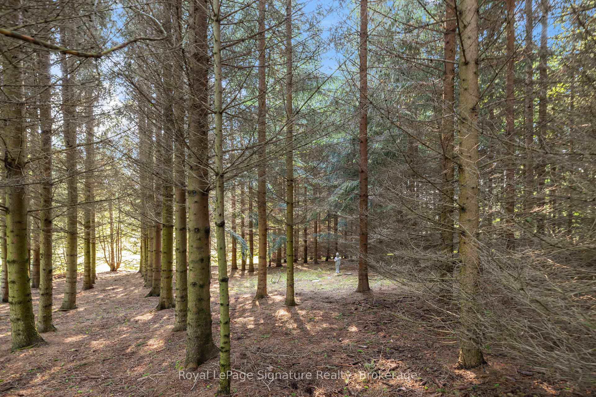 Photo 36 of 728414 21ST Side Road, Blue Mountains — HOMEH