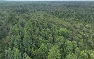 Photo 14 of PCL7669 Carrigan Road, Timmins, TM - Outside East — HOMEH