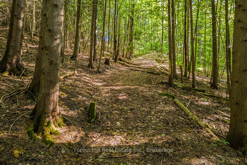 Photo 47 of 447151 10TH Concession Road, Grey Highlands — HOMEH