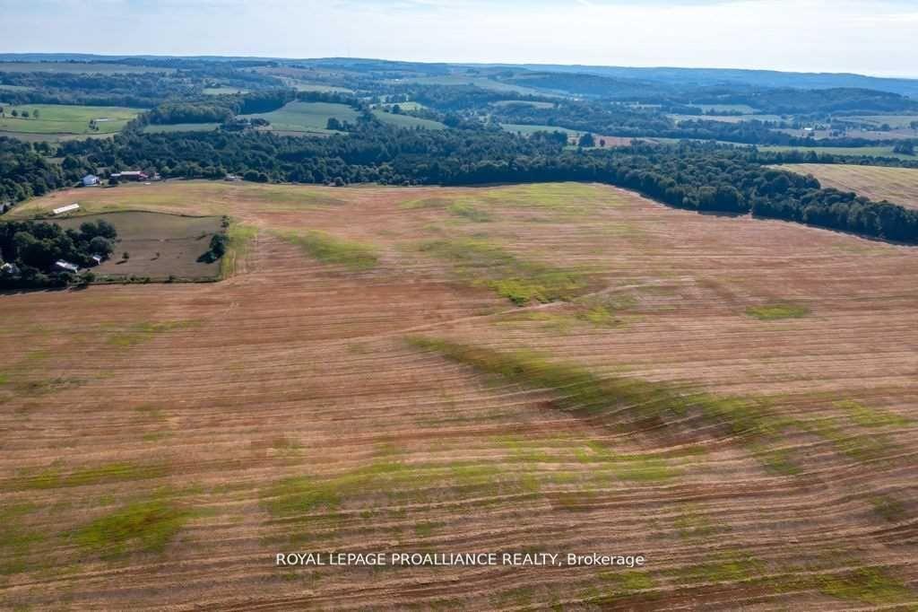 Photo 19 of 7761 Vimy Ridge Road, Hamilton Township, Rural Hamilton — HOMEH