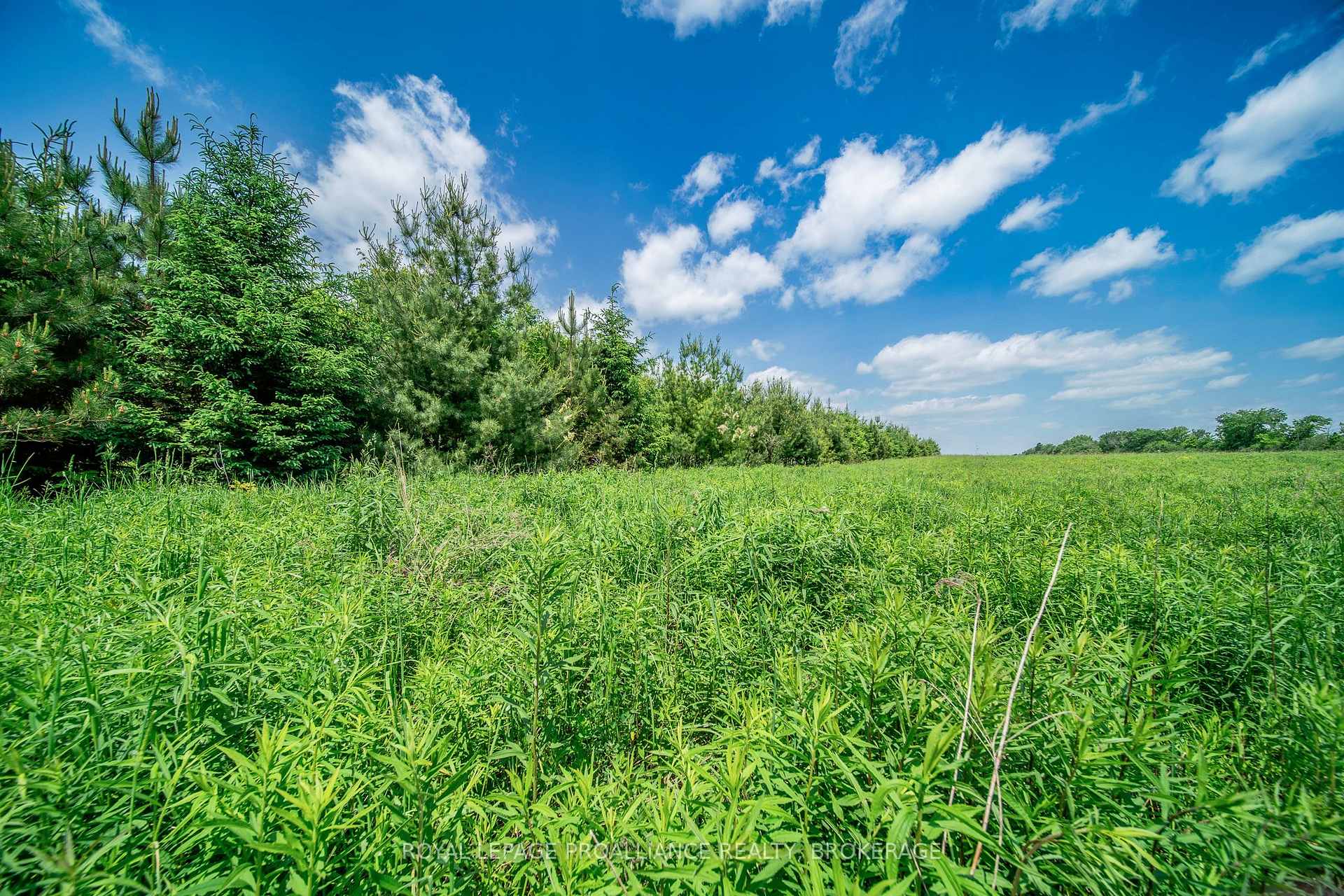 Photo 16 of PT LT 9 Keeley Road, Frontenac, Frontenac South — HOMEH