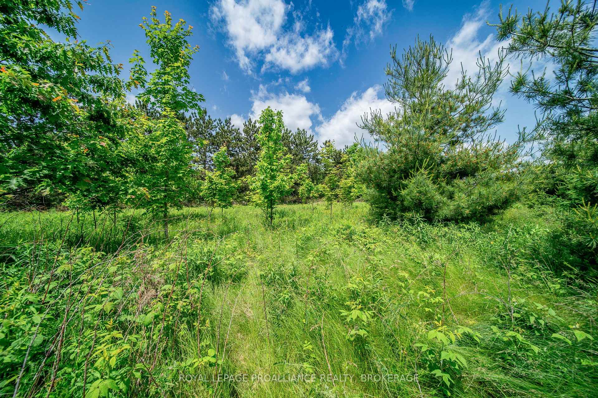 Photo 26 of PT LT 9 Keeley Road, Frontenac, Frontenac South — HOMEH