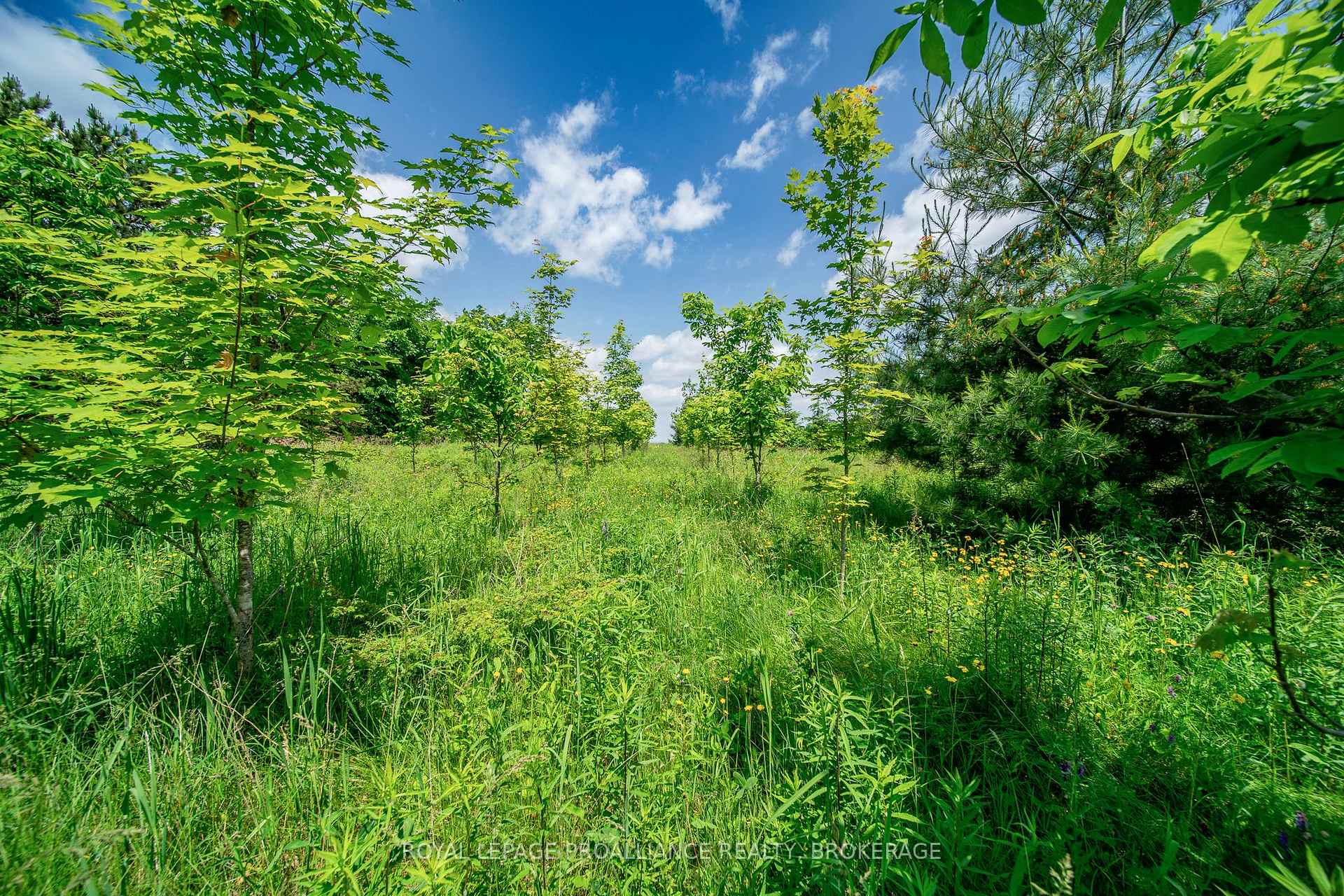 Photo 21 of PT LT 9 Keeley Road, Frontenac, Frontenac South — HOMEH