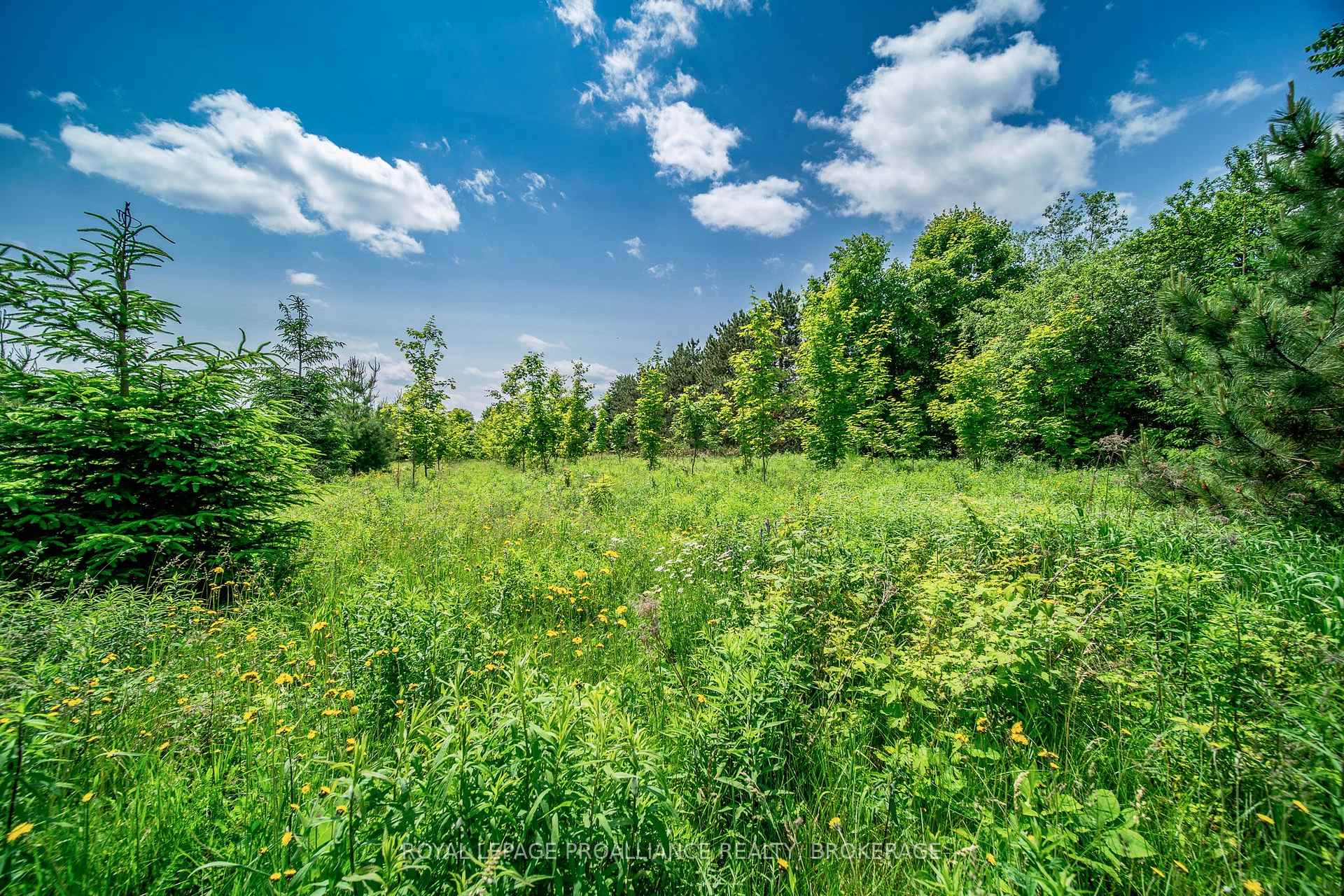 Photo 34 of PT LT 9 Keeley Road, Frontenac, Frontenac South — HOMEH