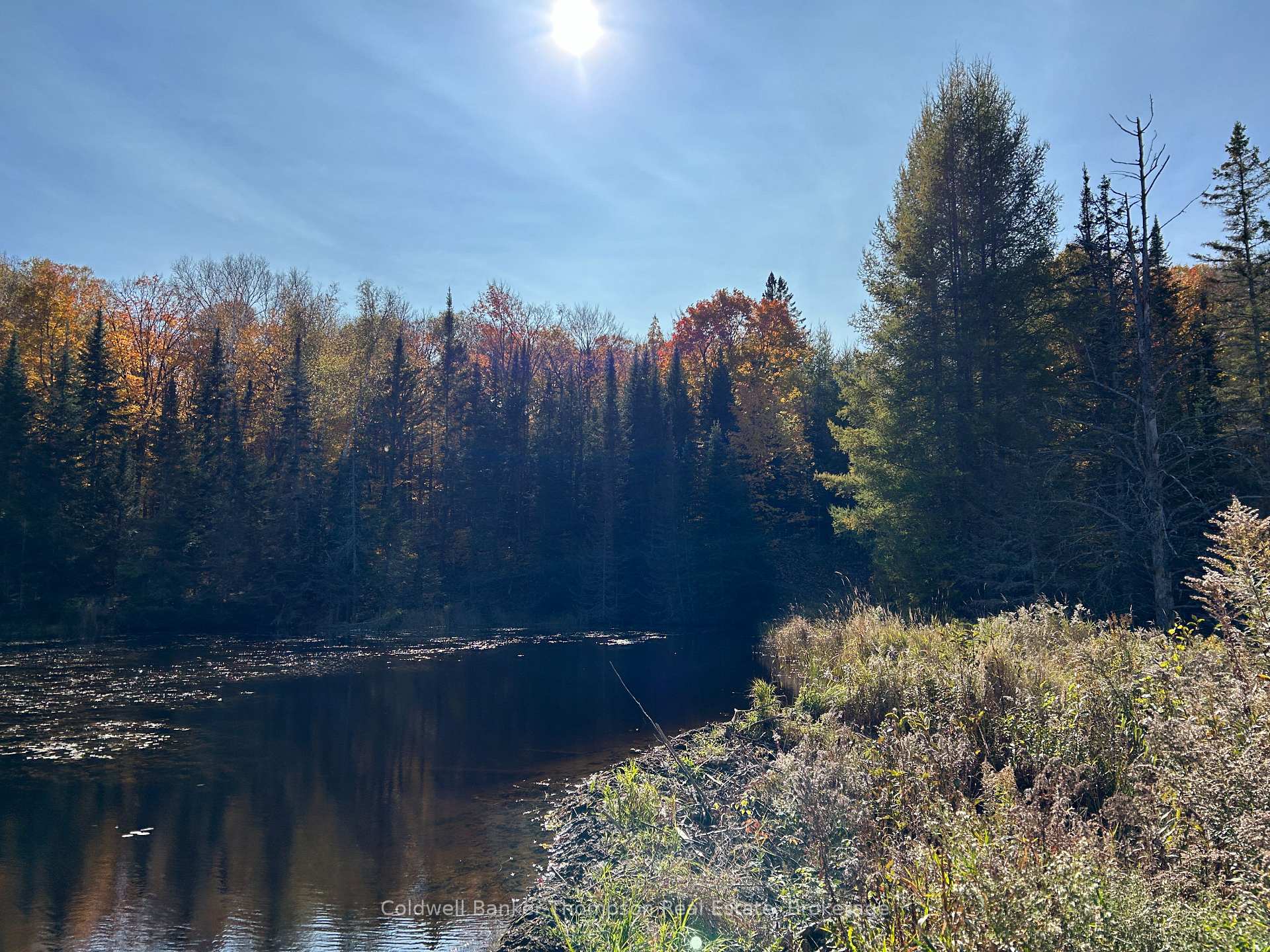 Photo 29 of 2013 Royston Road, Burk's Falls — HOMEH