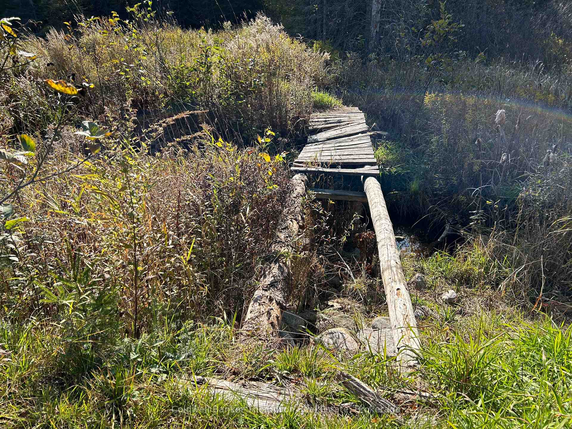 Photo 17 of 2013 Royston Road, Burk's Falls — HOMEH