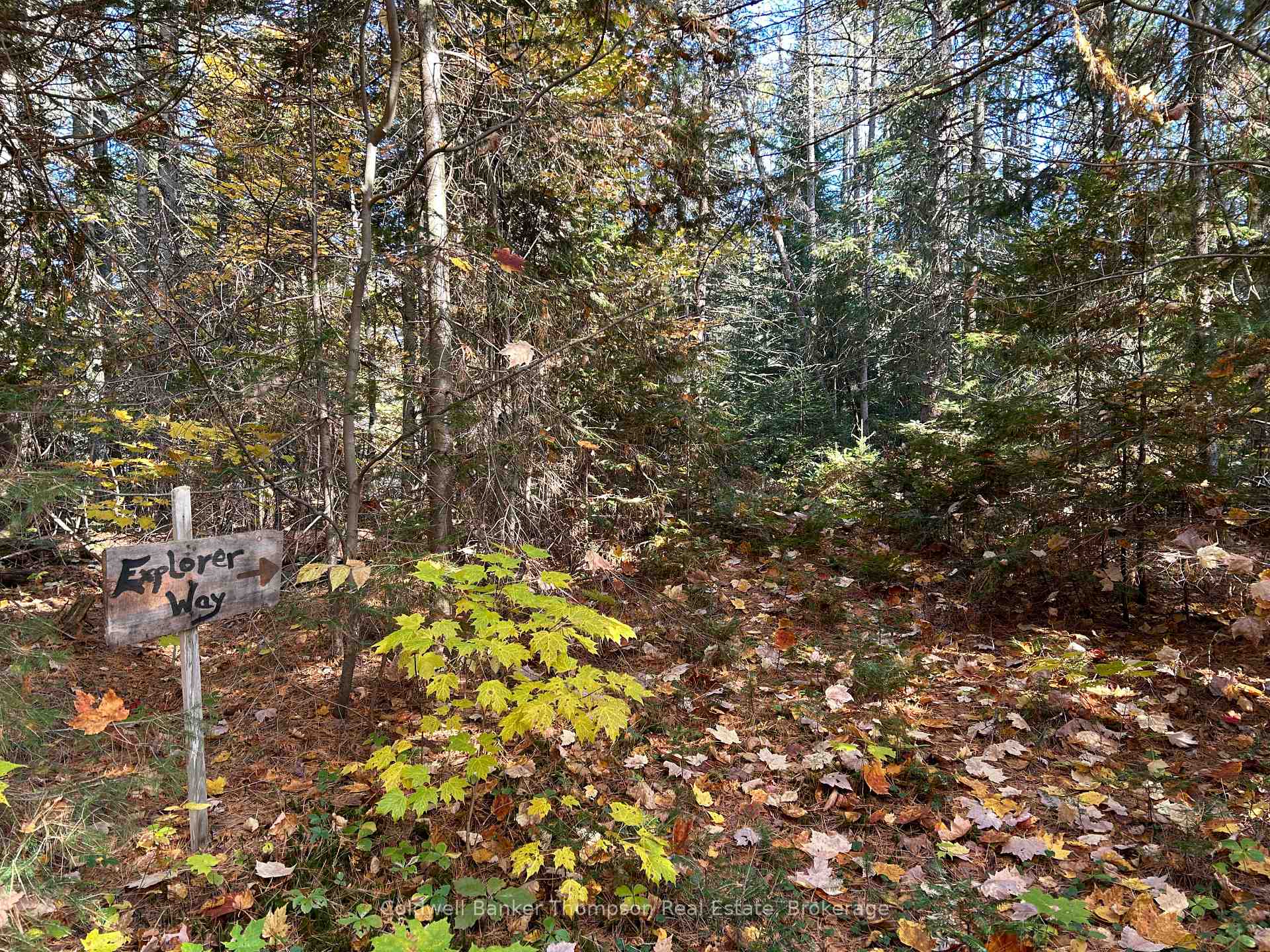 Photo 25 of 2013 Royston Road, Burk's Falls — HOMEH