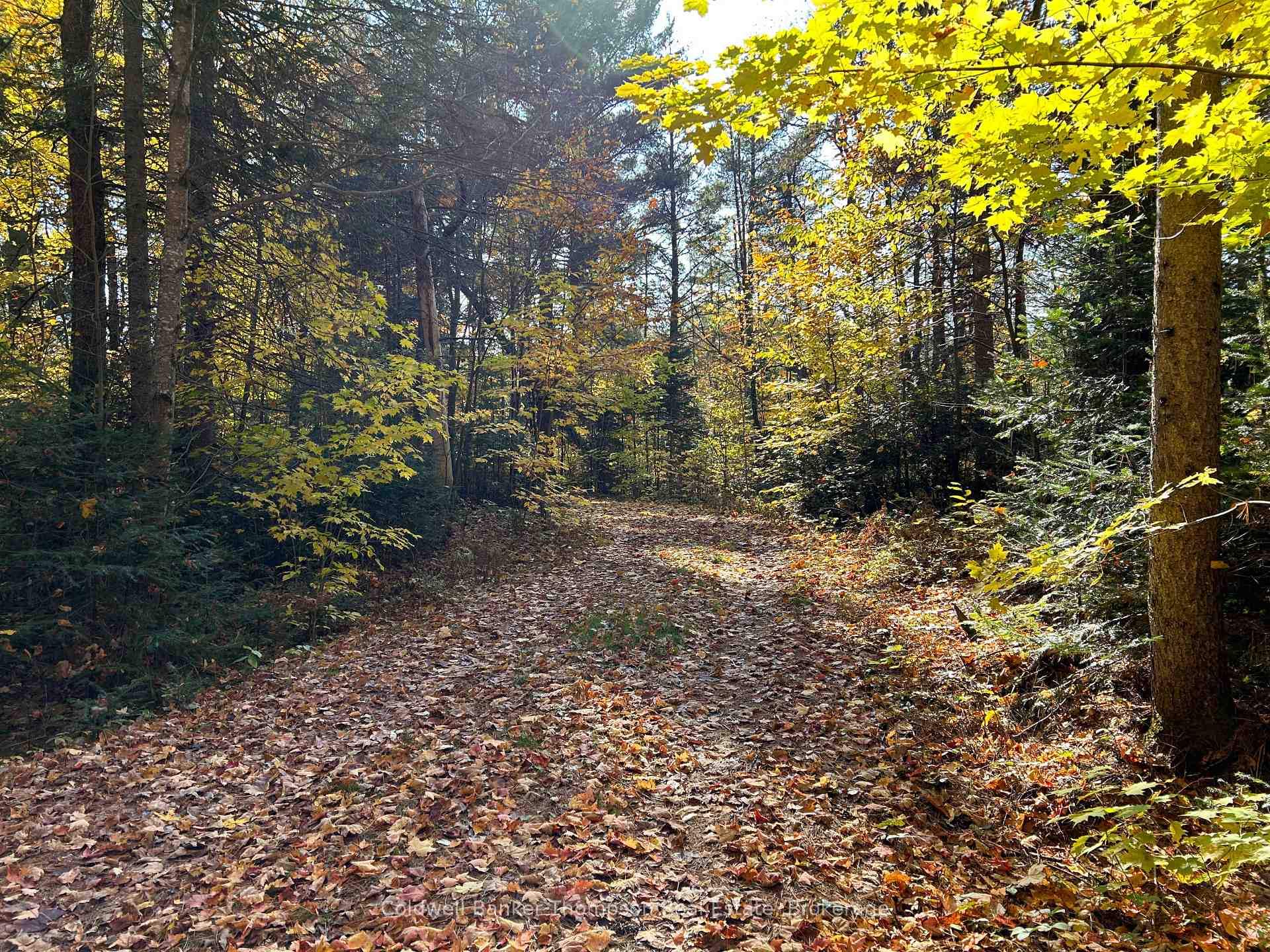 Photo 41 of 2013 Royston Road, Burk's Falls — HOMEH