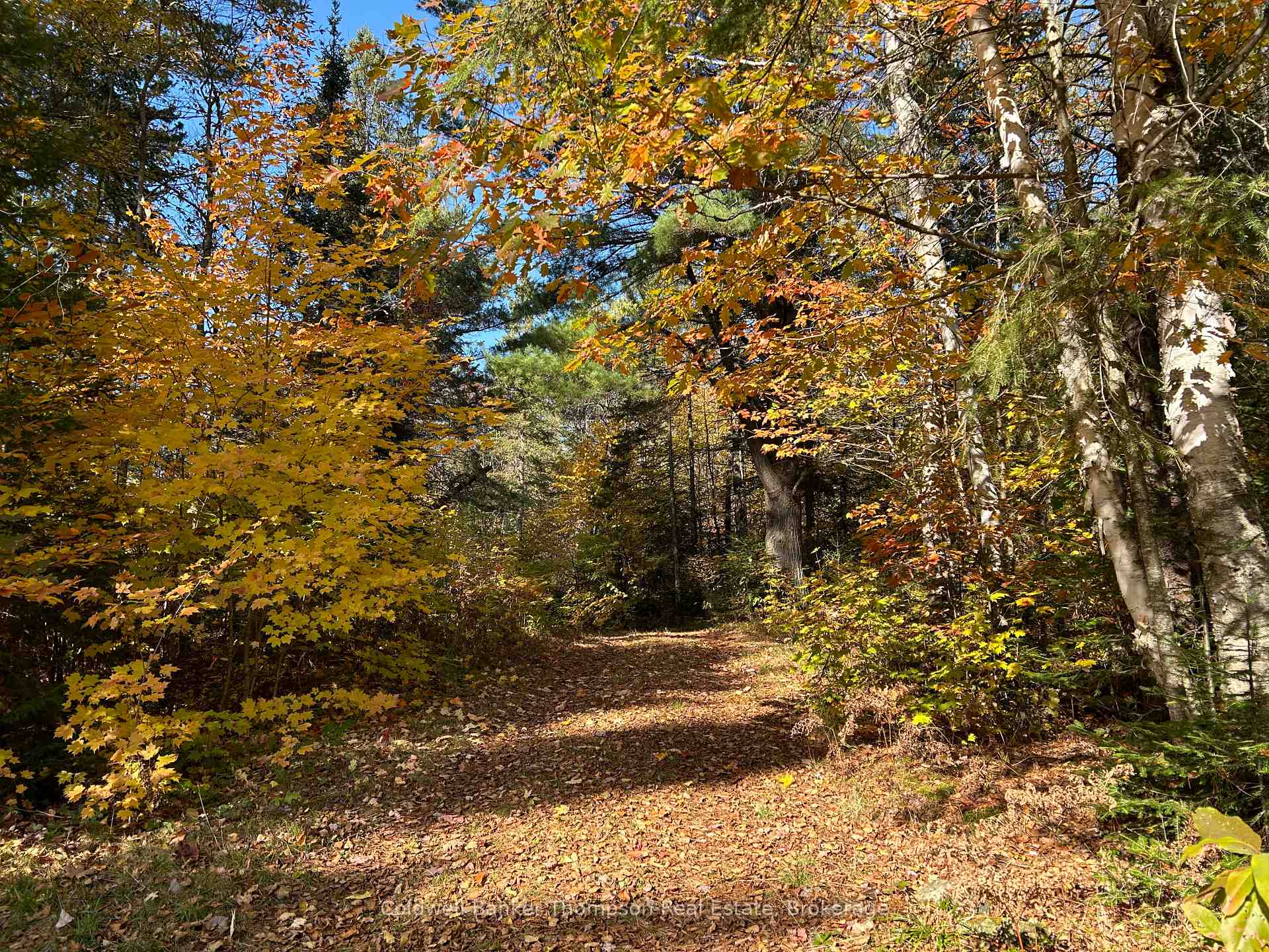 Photo 37 of 2013 Royston Road, Burk's Falls — HOMEH