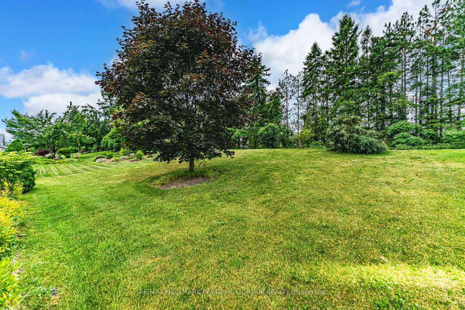 Photo 15 of 22 Trellis Lane, Innisfil, Rural Innisfil — HOMEH