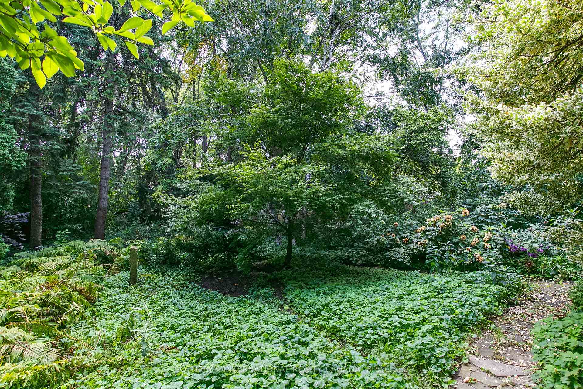 Photo 51 of 295 Carlton Street, Toronto, Cabbagetown-South St. James Town — HOMEH