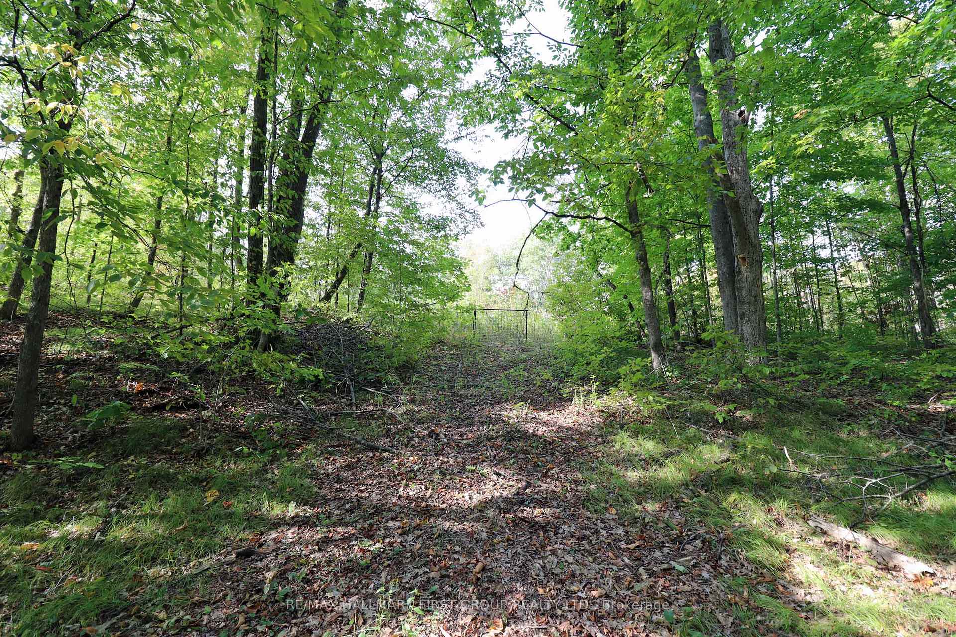Photo 2 of 76 Black River Lane, Tweed, Elzevir (Twp) — HOMEH