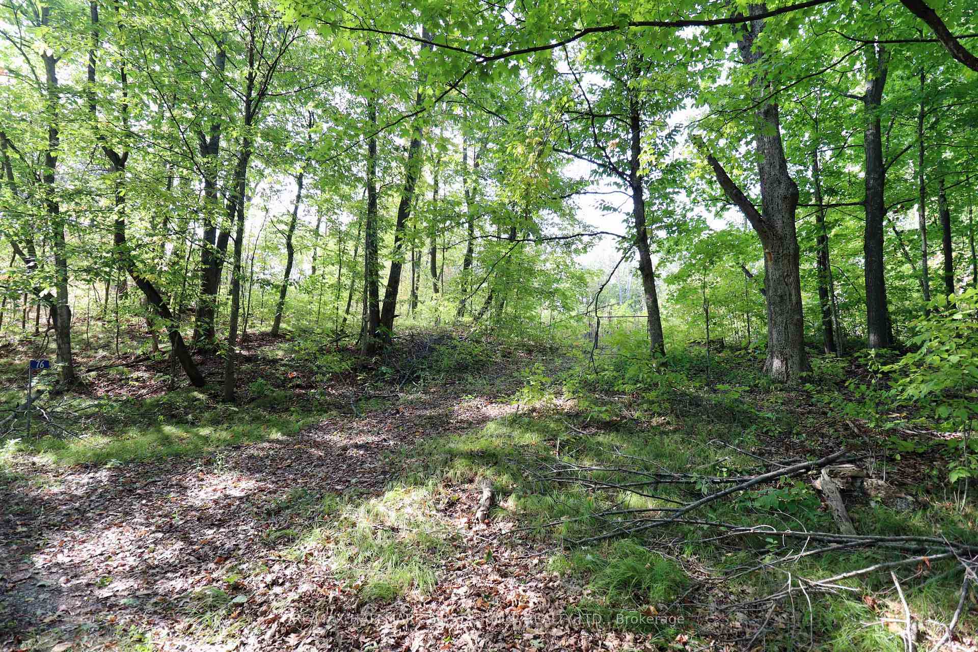 Photo 18 of 76 Black River Lane, Tweed, Elzevir (Twp) — HOMEH