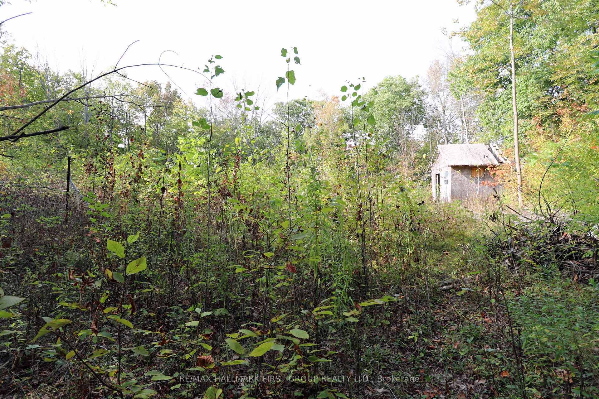 Photo 4 of 76 Black River Lane, Tweed, Elzevir (Twp) — HOMEH