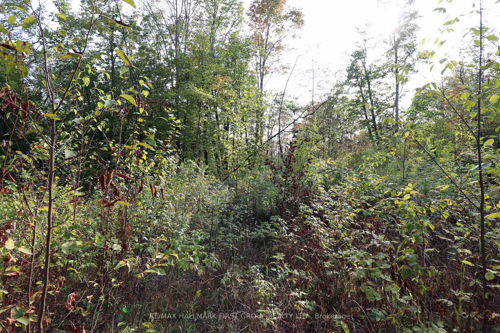 Photo 14 of 76 Black River Lane, Tweed, Elzevir (Twp) — HOMEH