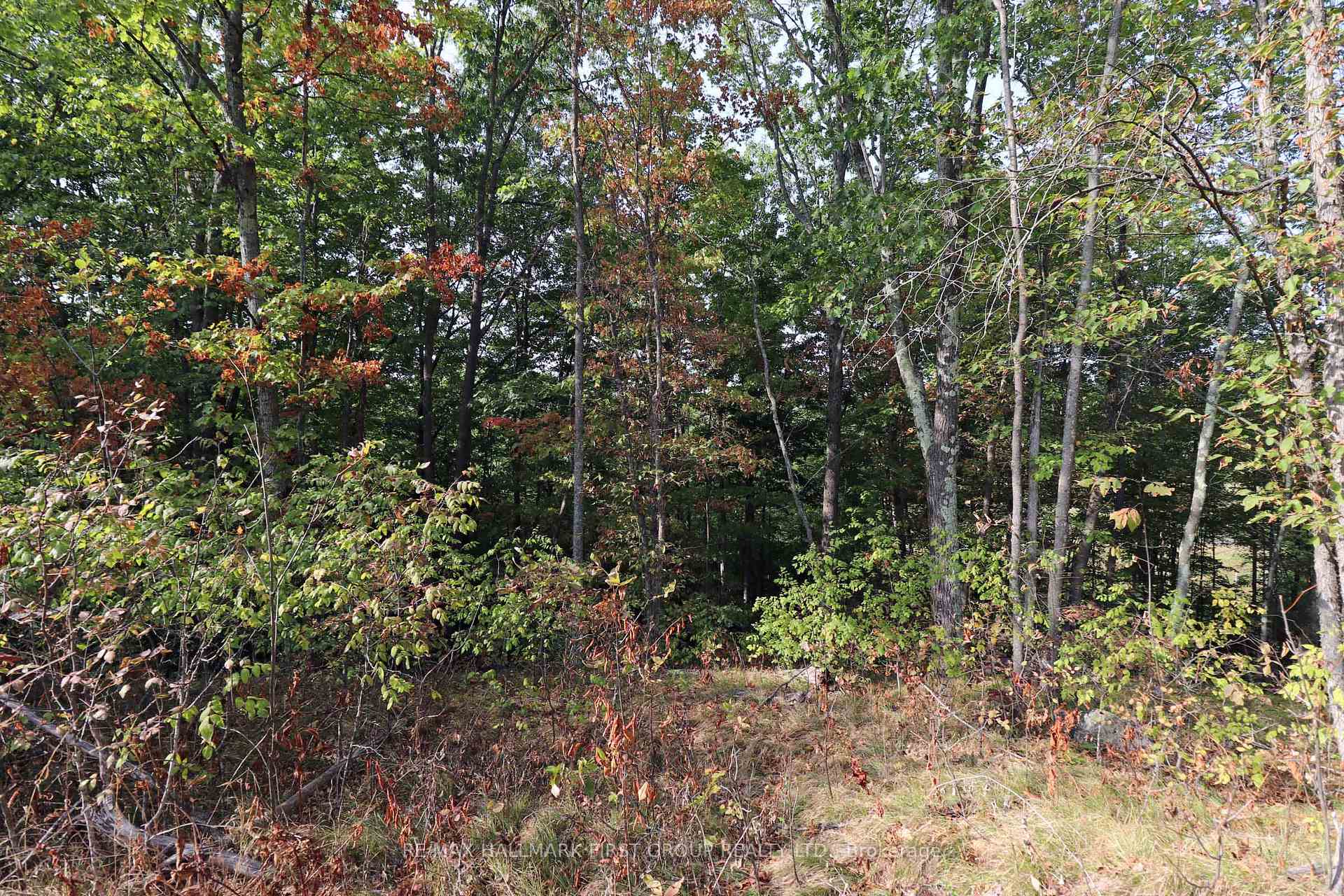 Photo 16 of 76 Black River Lane, Tweed, Elzevir (Twp) — HOMEH