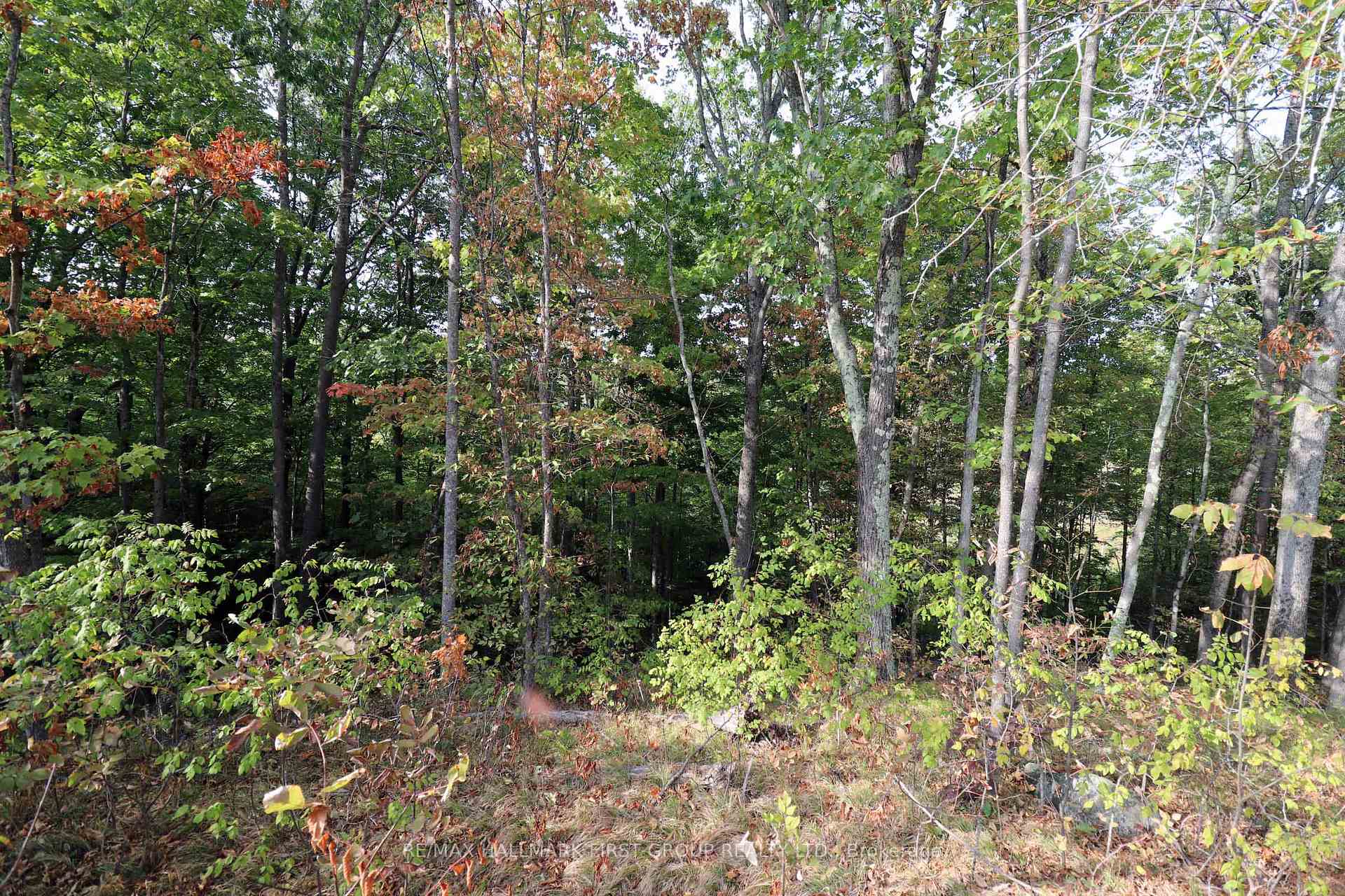 Photo 23 of 76 Black River Lane, Tweed, Elzevir (Twp) — HOMEH