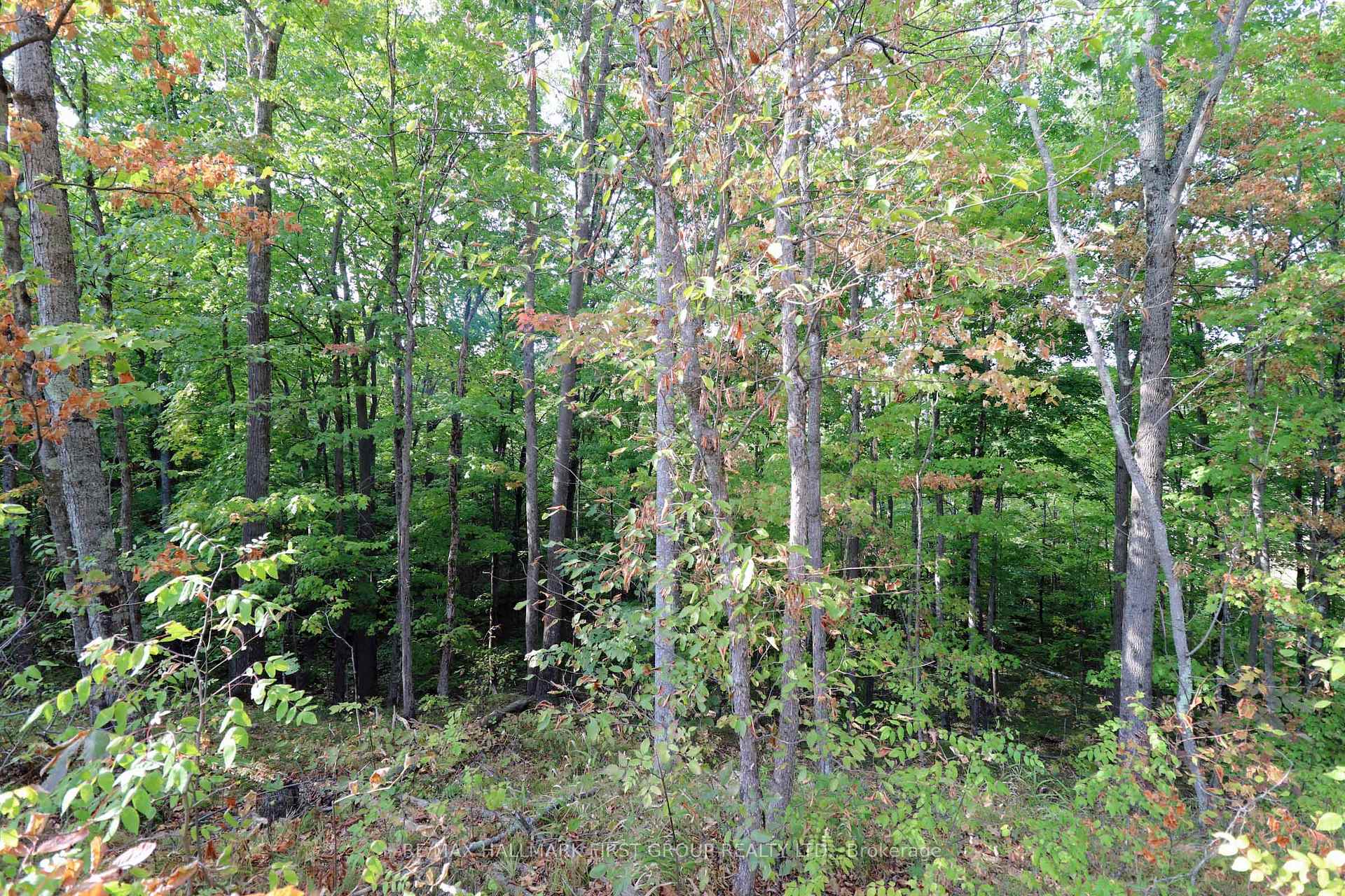 Photo 24 of 76 Black River Lane, Tweed, Elzevir (Twp) — HOMEH