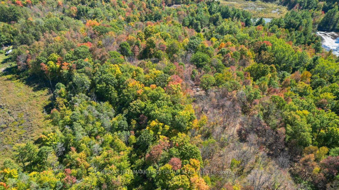 Photo 9 of 76 Black River Lane, Tweed, Elzevir (Twp) — HOMEH