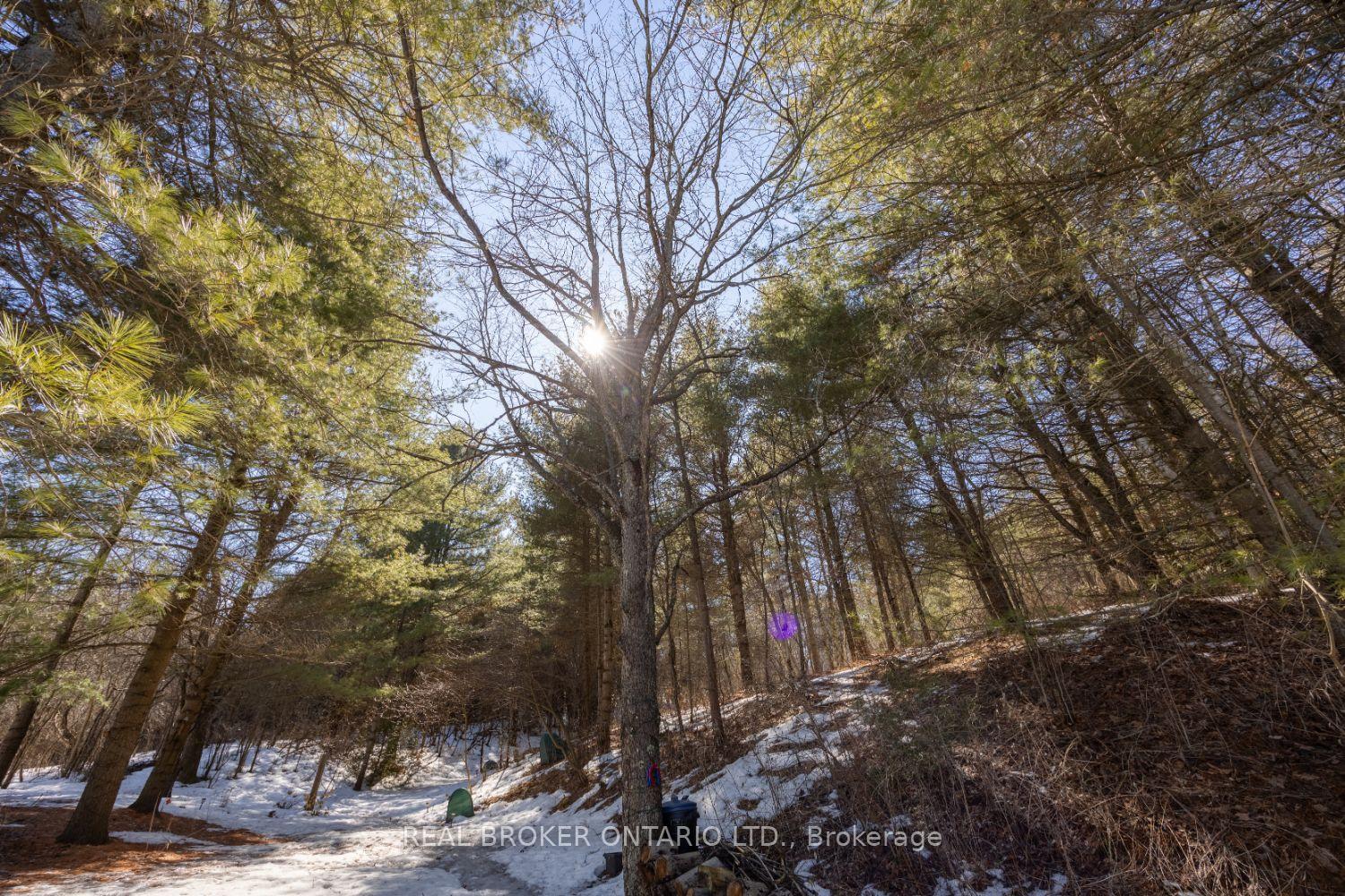 Photo 41 of 7295 Cavan Road, Hamilton Township, Bewdley — HOMEH
