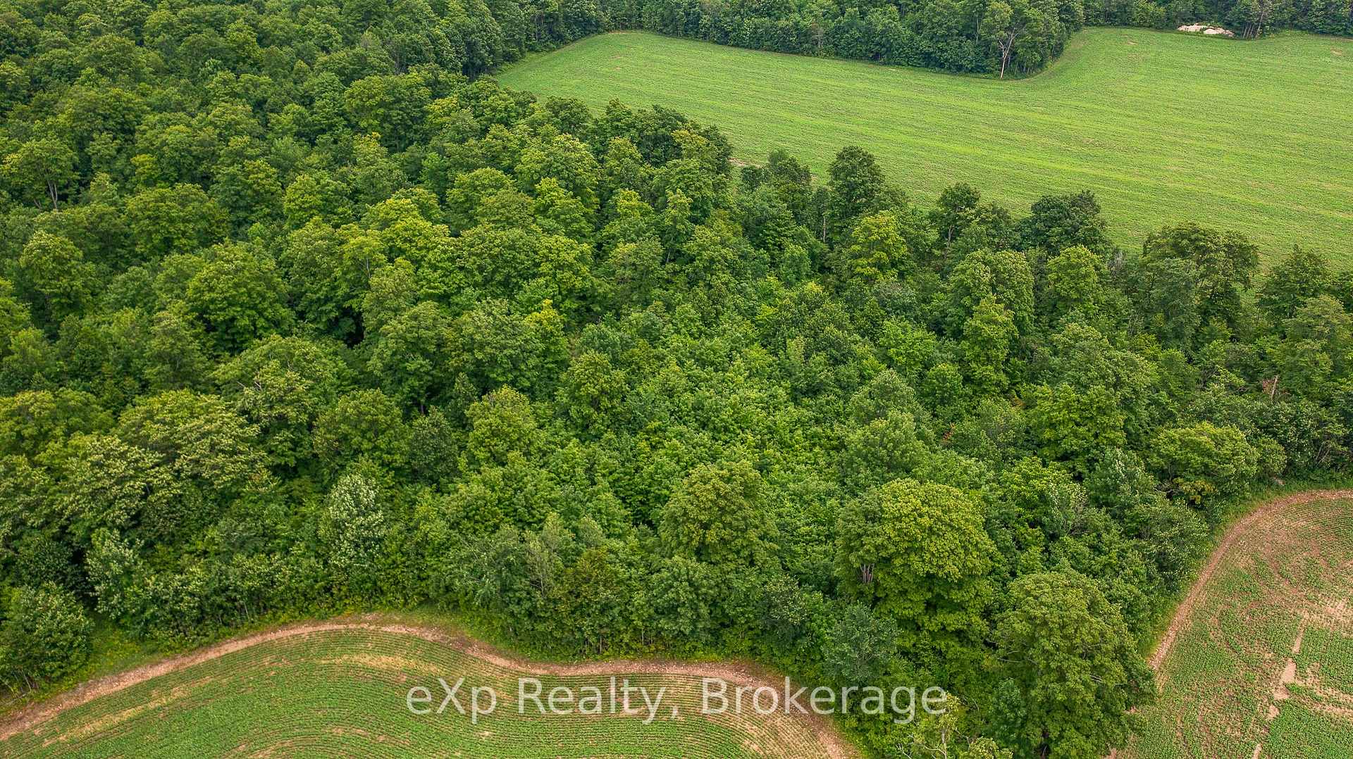 Photo 41 of 522357 Concession 12 NDR, West Grey — HOMEH