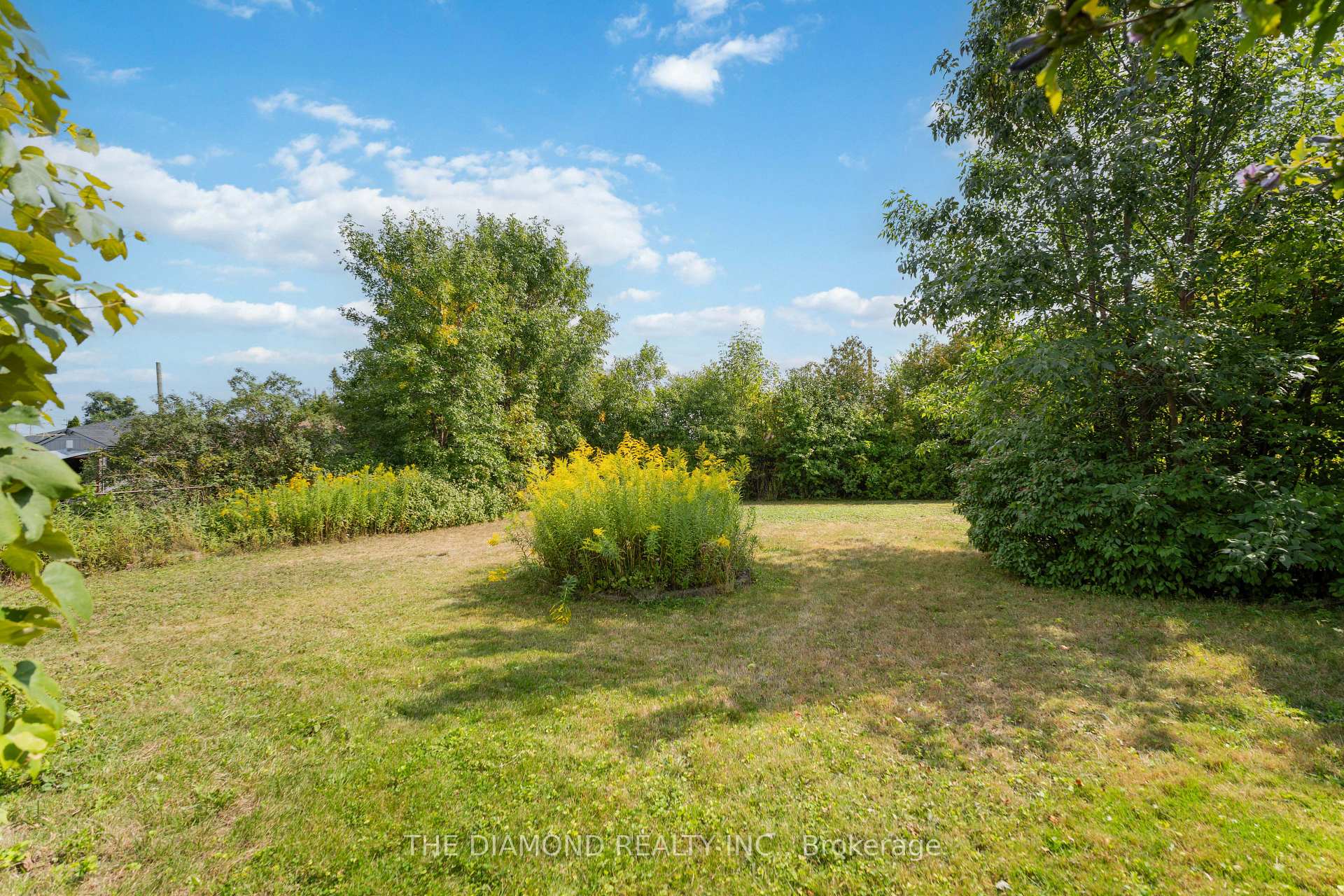 Photo 36 of 95 Winchester Boulevard, Hamilton, Hampton Heights — HOMEH