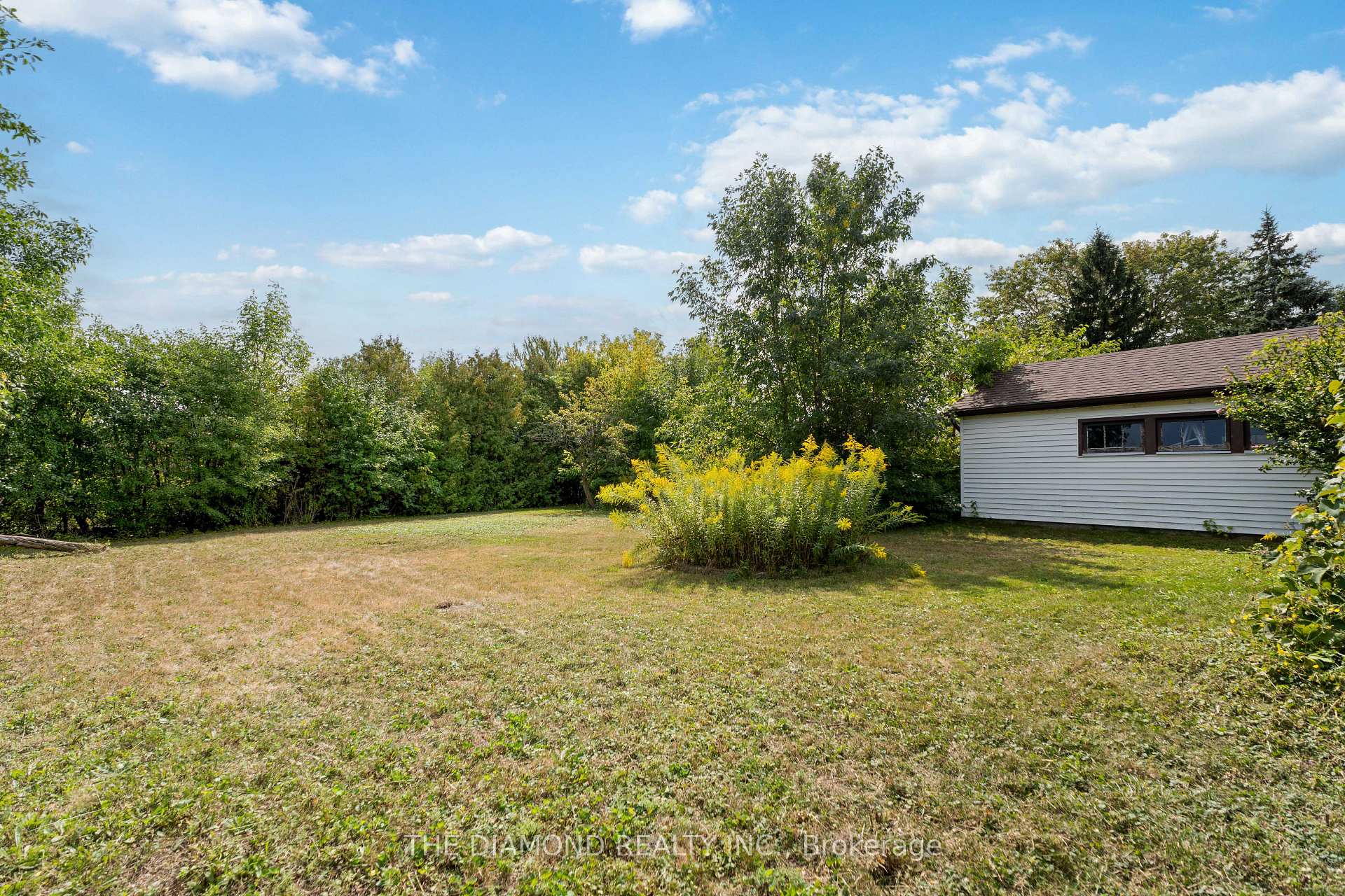 Photo 44 of 95 Winchester Boulevard, Hamilton, Hampton Heights — HOMEH