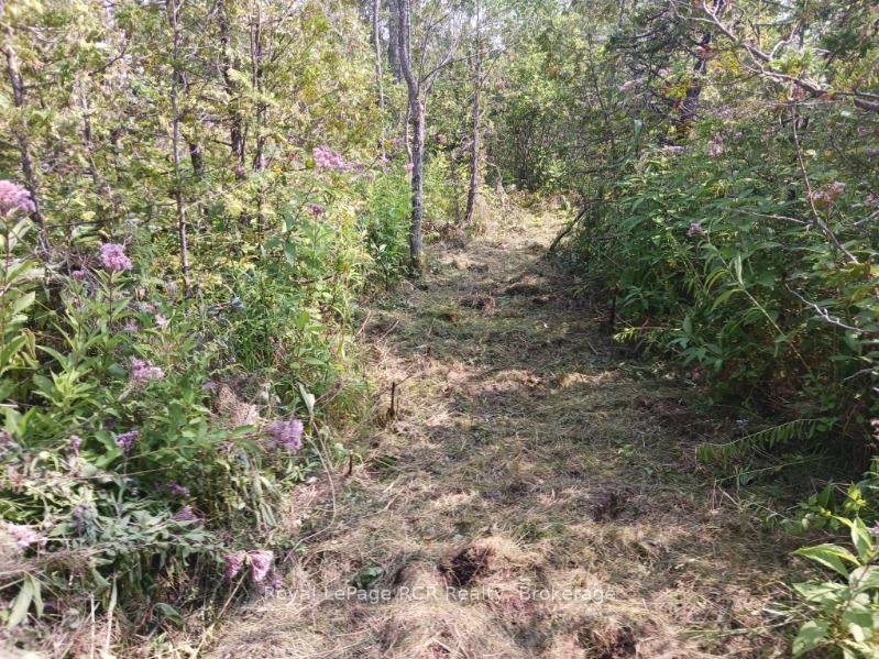Photo 39 of 112 Scotts Hill Road, West Grey — HOMEH