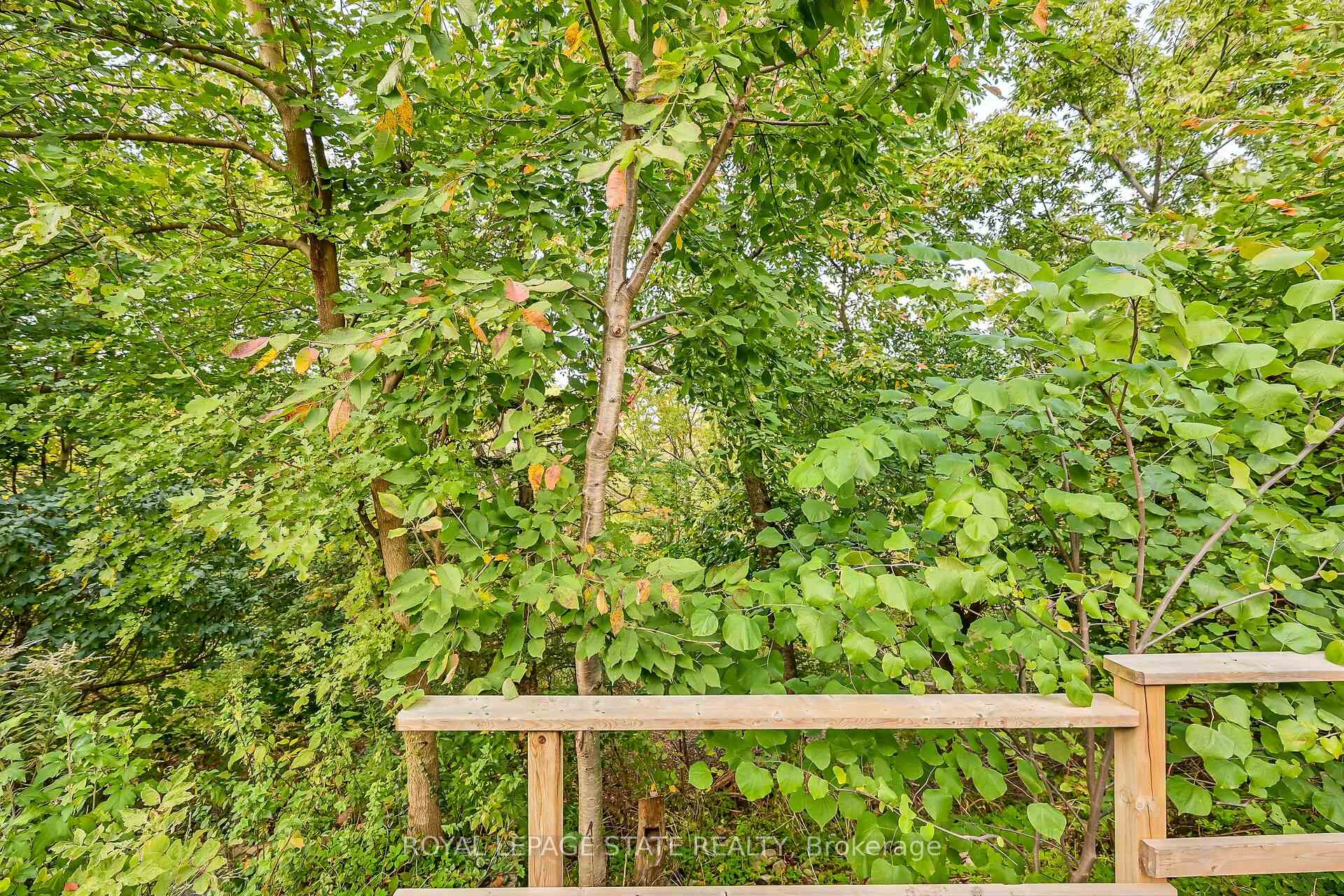 Photo 35 of 142 St Andrews Drive, Hamilton, Vincent — HOMEH